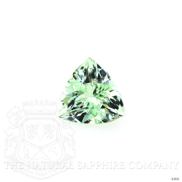 0.56 Ct. Paraiba Tourmaline from Mozambique