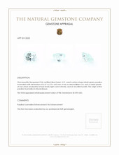 0.91 Ct. Paraiba Tourmaline from Mozambique Appraisal