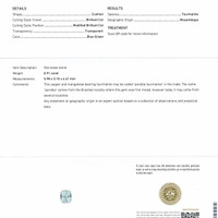 0.91 Ct. Paraiba Tourmaline from Mozambique Scan Report