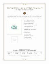 0.81 Ct. Paraiba Tourmaline from Mozambique Scan Report