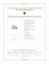 0.81 Ct. Paraiba Tourmaline from Mozambique Scan Report