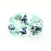 0.81 Ct. Paraiba Tourmaline from Mozambique Video