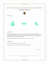 1.50 Ct. Paraiba Tourmaline from Mozambique Appraisal