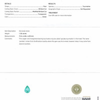 1.50 Ct. Paraiba Tourmaline from Mozambique Scan Report