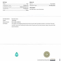 1.50 Ct. Paraiba Tourmaline from Mozambique Scan Report