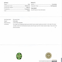Jewelry Scan Report