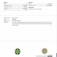 3.96 Ct. Paraiba Tourmaline from Mozambique Scan Report