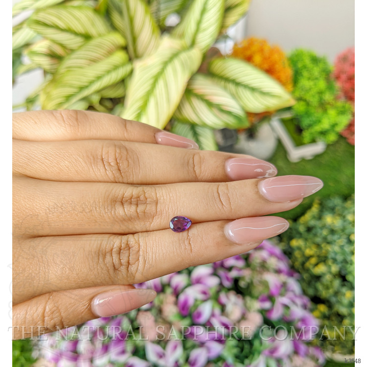 0.67 Ct. Amethyst from Ceylon (Sri Lanka)