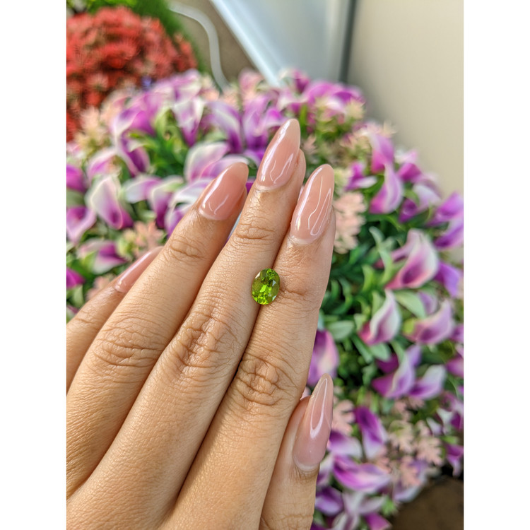 1.25 Ct. Peridot from Pakistan