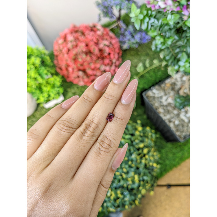 0.65 Ct. Tourmaline from Mozambique