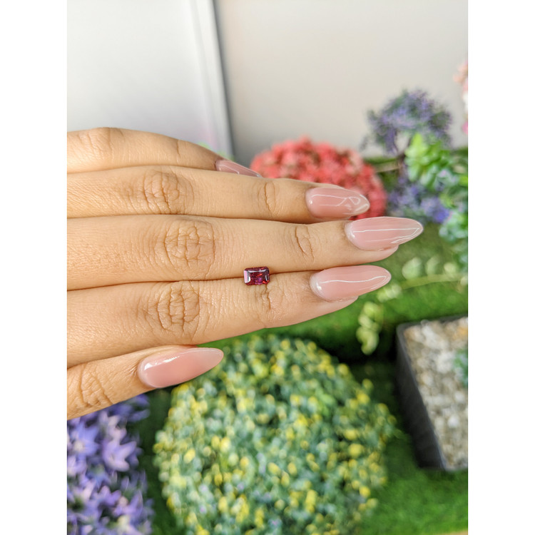 0.65 Ct. Tourmaline from Mozambique