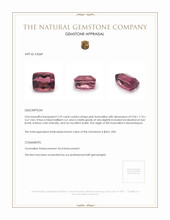 3.29 Ct. Tourmaline from Mozambique Appraisal