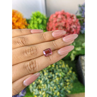 3.29 Ct. Tourmaline from Mozambique Life Style