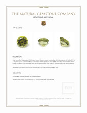 0.83 Ct. Tourmaline from Mozambique Appraisal