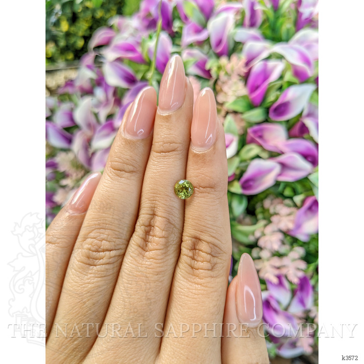 0.83 Ct. Tourmaline from Mozambique