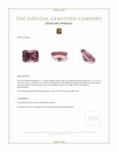 1.15 Ct. Tourmaline from Mozambique Appraisal