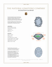 Jewelry 3 D Scan Report
