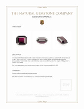 22.00 Ct. Garnet from Ceylon (Sri Lanka) Appraisal