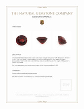 24.65 Ct. Orangish Red Garnet from Ceylon (Sri Lanka) Appraisal