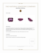 6.97 Ct. Garnet from Ceylon (Sri Lanka) Appraisal