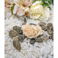 63.91 Ct. Coral from Australia Life Style