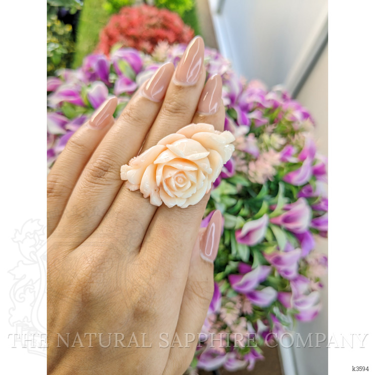 63.91 Ct. Coral from Australia