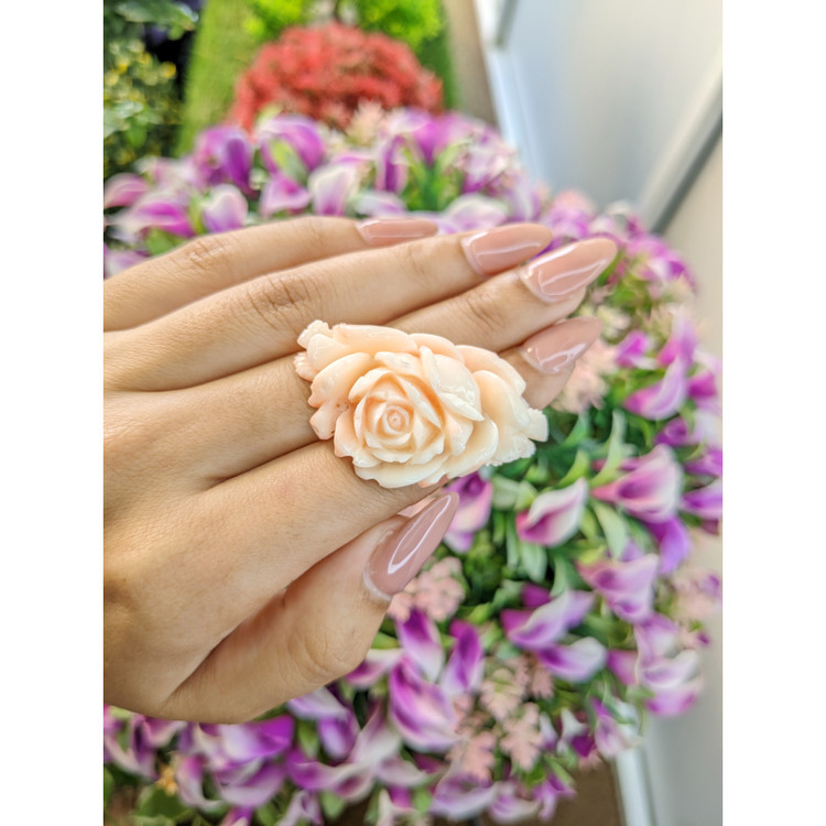 63.91 Ct. Coral from Australia