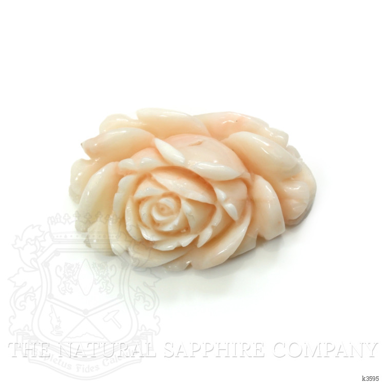 103.94 Ct. Coral from Australia