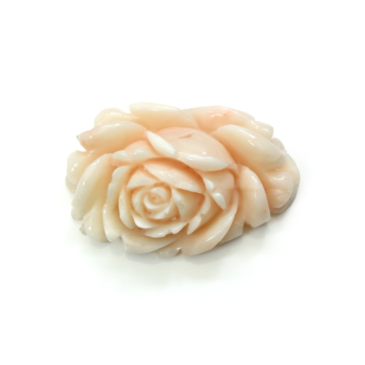 103.94 Ct. Coral from Australia