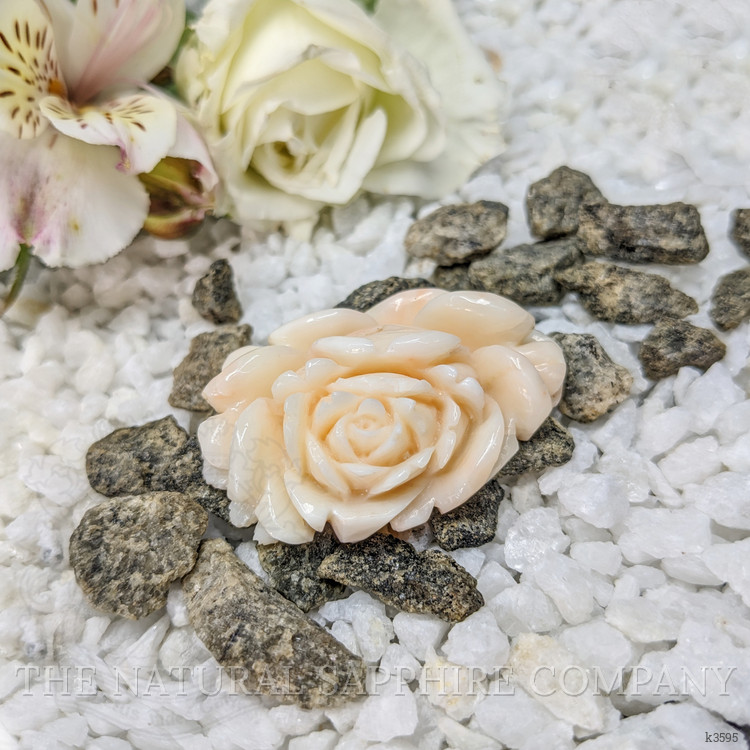 103.94 Ct. Coral from Australia