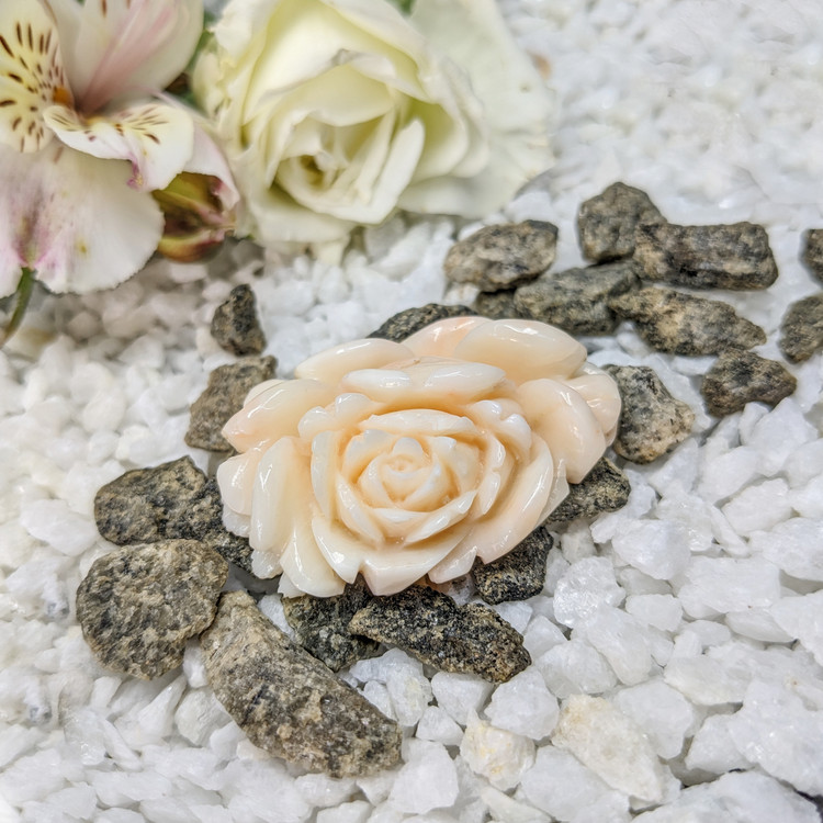 103.94 Ct. Coral from Australia