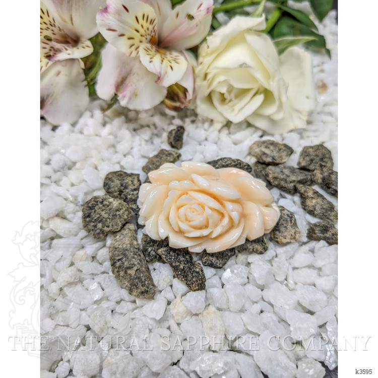 103.94 Ct. Coral from Australia