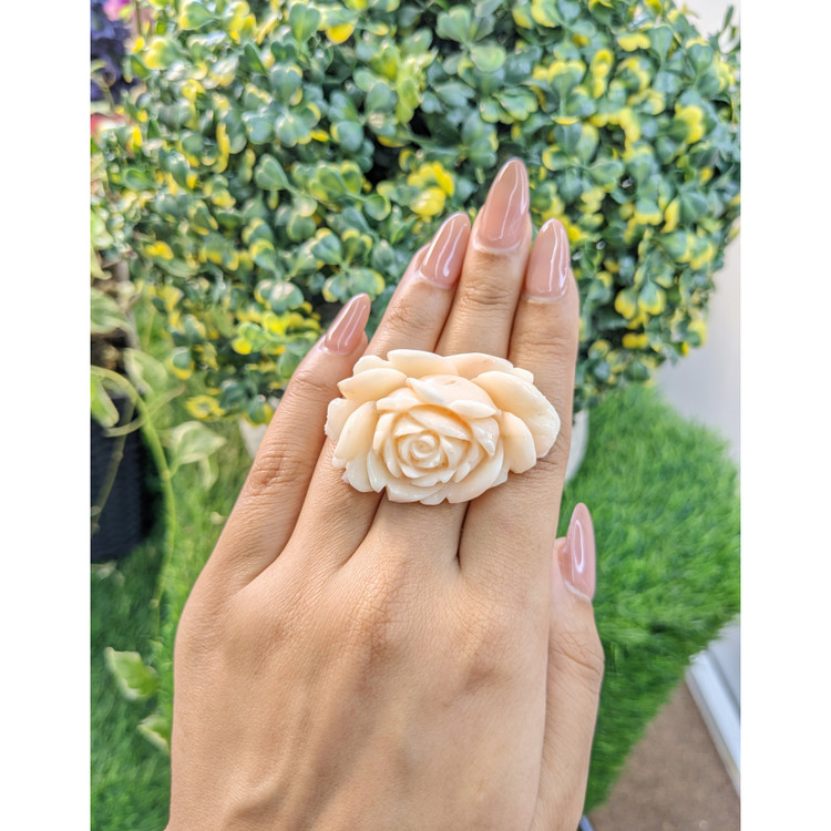 103.94 Ct. Coral from Australia