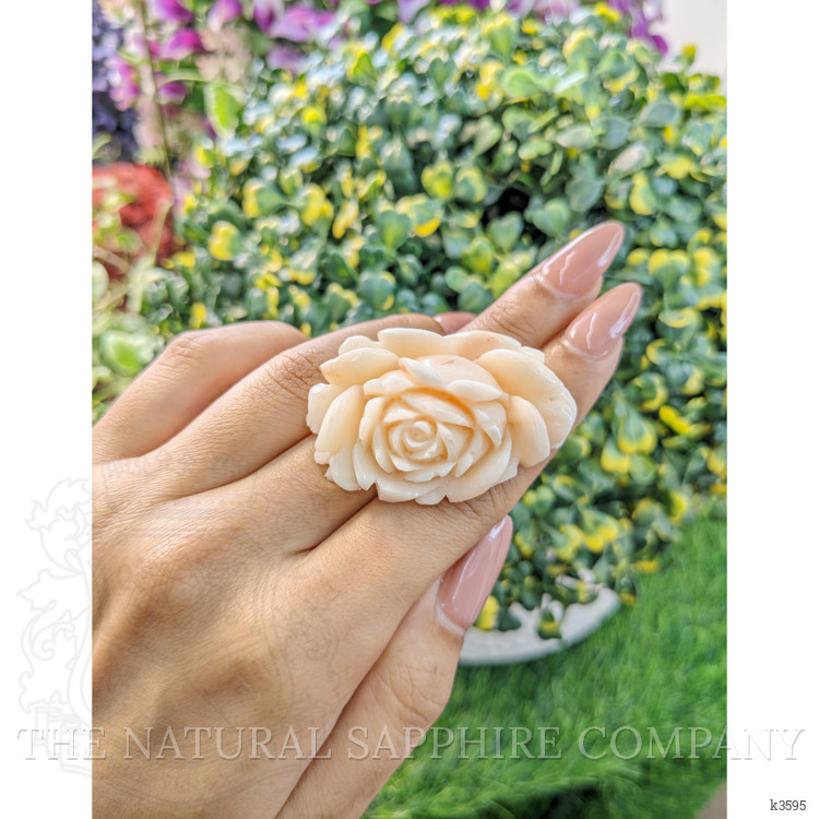 103.94 Ct. Coral from Australia