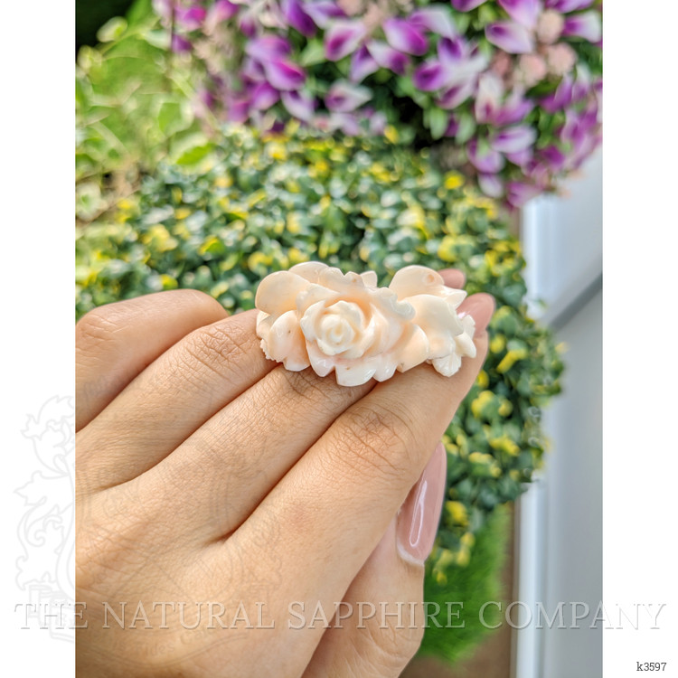 84.39 Ct. Coral from Australia