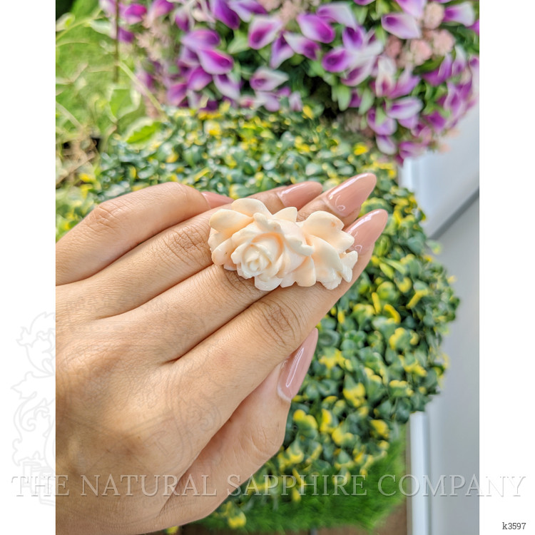 84.39 Ct. Coral from Australia