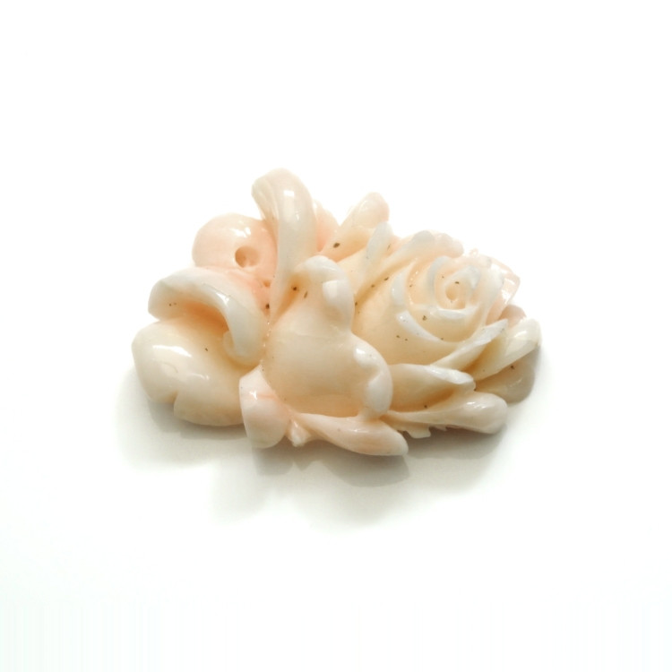 54.95 Ct. Coral from Australia