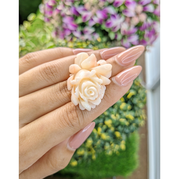 54.95 Ct. Coral from Australia