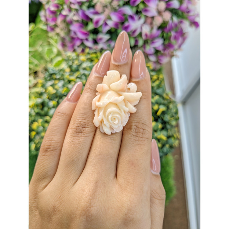 54.95 Ct. Coral from Australia