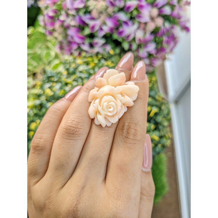 54.95 Ct. Coral from Australia