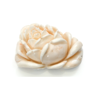 80.77 Ct. Coral from Australia Video