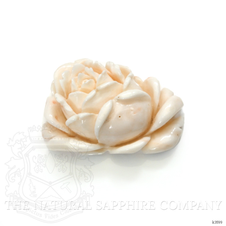 80.77 Ct. Coral from Australia