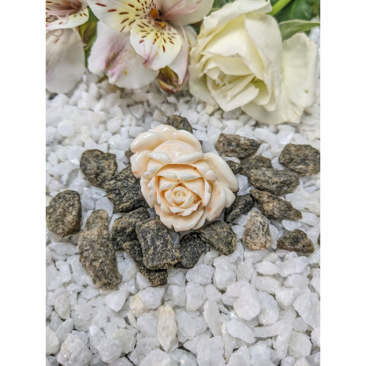 80.77 Ct. Coral from Australia