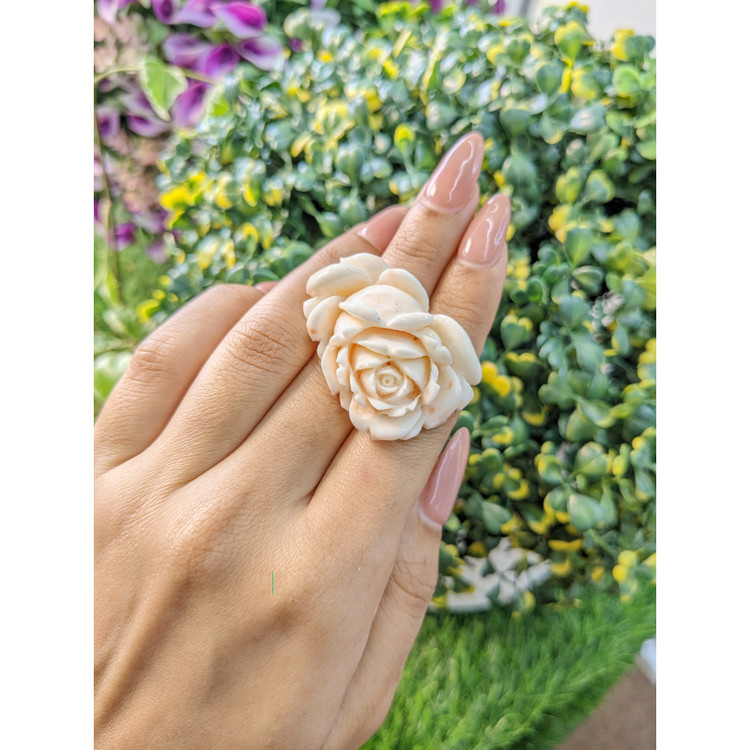 80.77 Ct. Coral from Australia