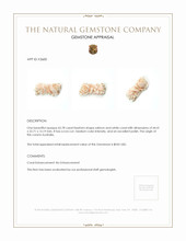 62.78 Ct. Coral from Australia Appraisal