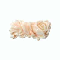 62.78 Ct. Coral from Australia Video