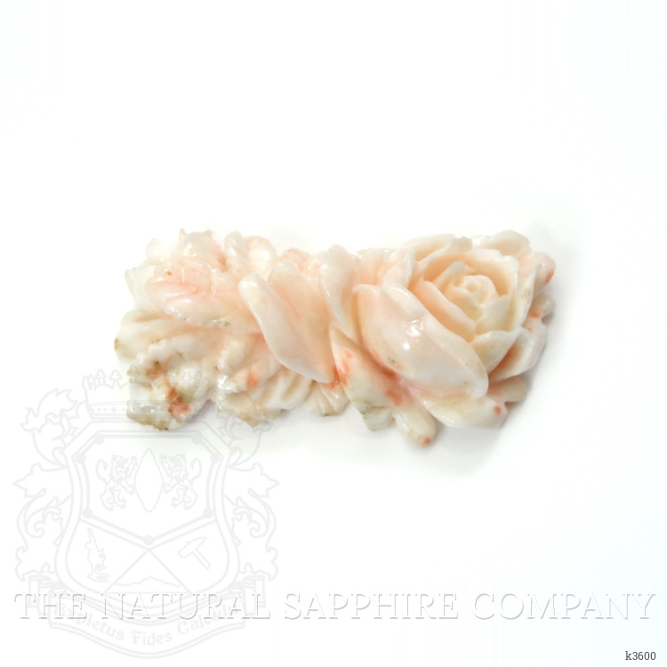 62.78 Ct. Coral from Australia