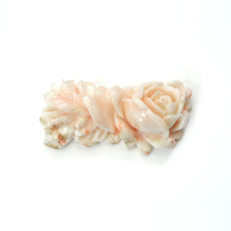 62.78 Ct. Coral from Australia