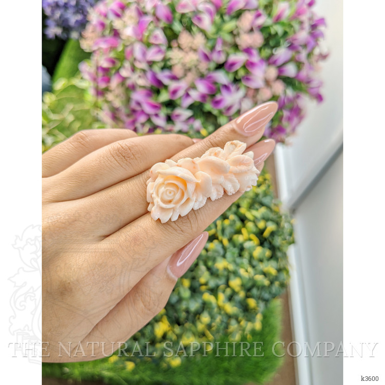 62.78 Ct. Coral from Australia