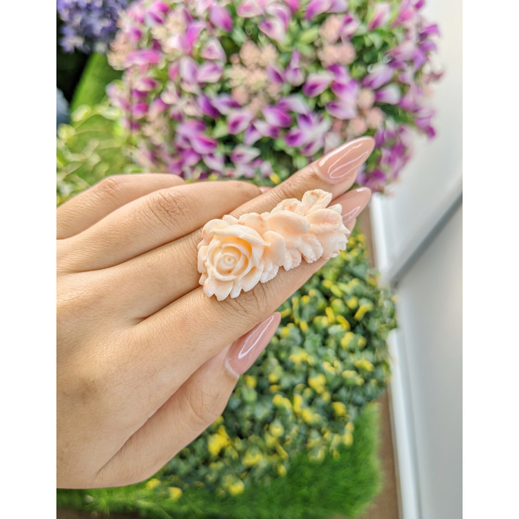 62.78 Ct. Coral from Australia